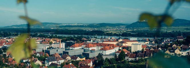 Zwentendorf an der donau single date, Neue bekanntschaften 
